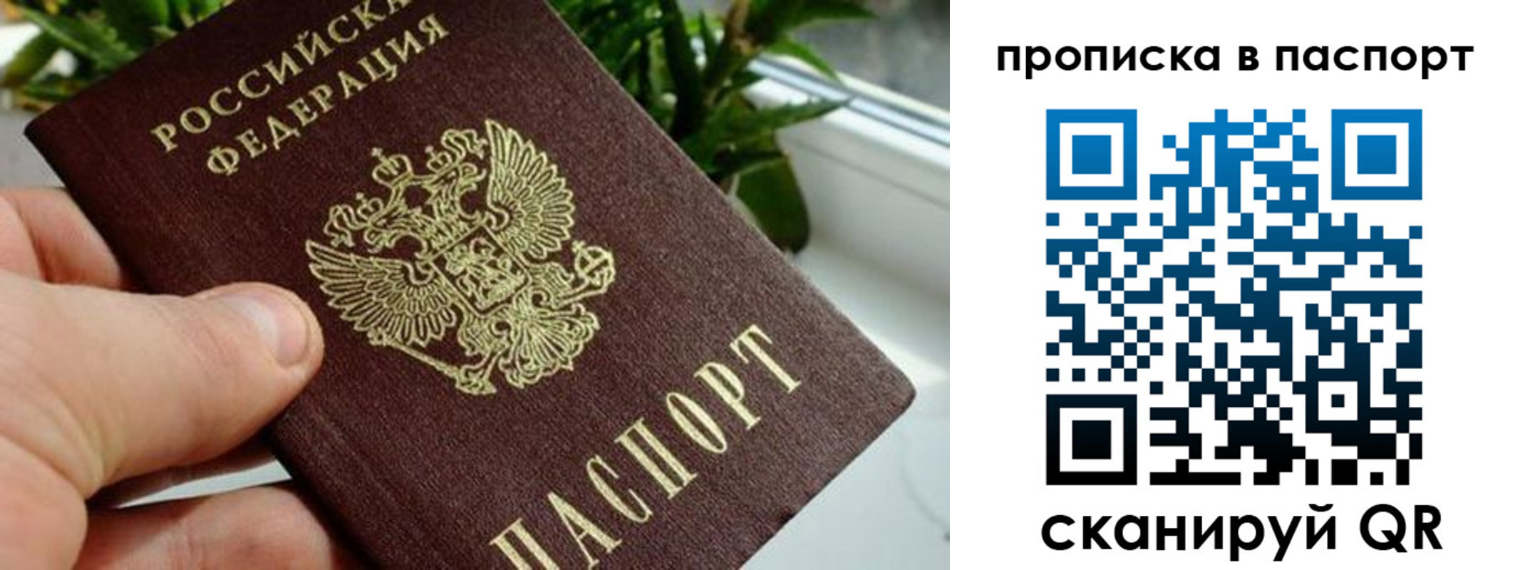 временная регистрация поиск в Камышлове